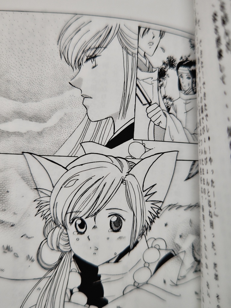 遥かなる時空の中で しきちゃんふぁんぶっく 華水樹