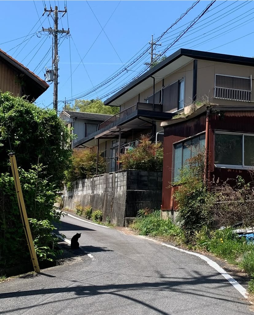 今日も美しい世界がみえる