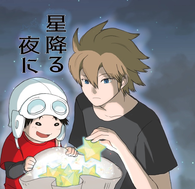 星降る夜に(匿名発送/ネコポス)