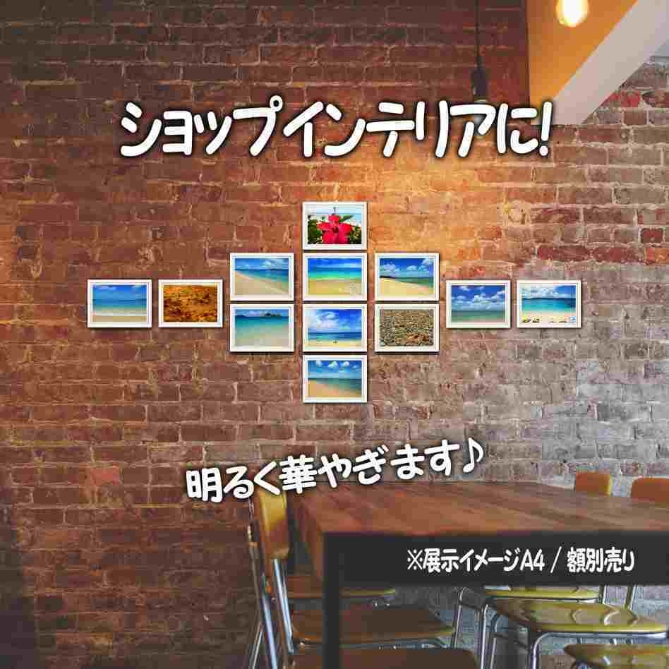 超高画質☆沖縄の海が見える景色☆写真☆インテリア☆ポストカード☆おしゃれ☆P1