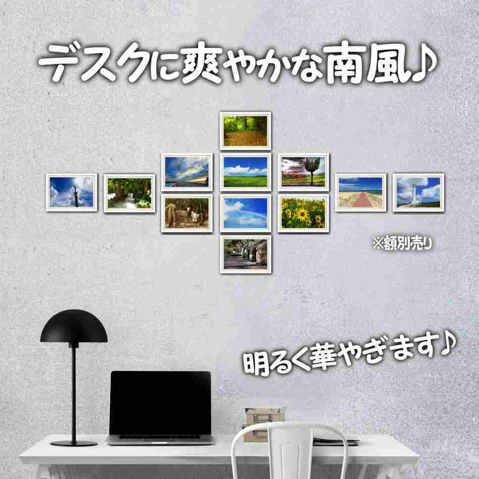 超高画質☆沖縄の「海と空と自然」☆写真☆インテリア☆ポストカード☆癒し☆おしゃれ