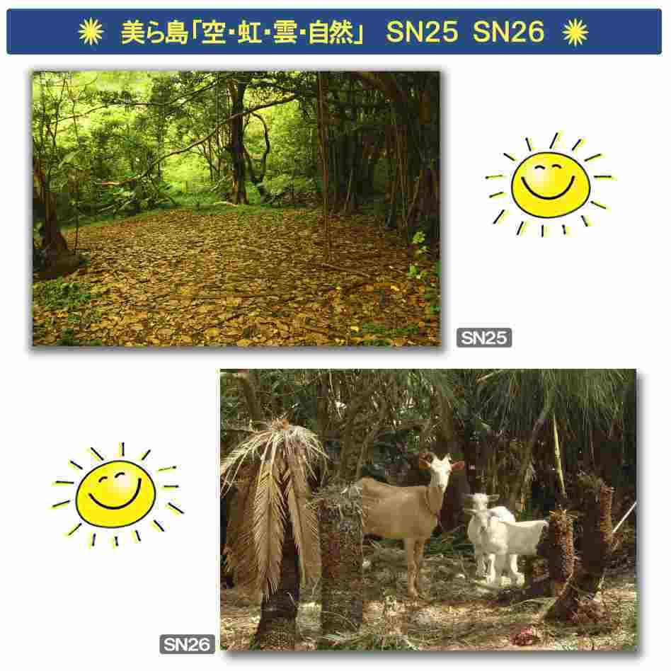 超高画質☆沖縄の「海と空と自然」☆写真☆インテリア☆ポストカード☆癒し☆おしゃれ