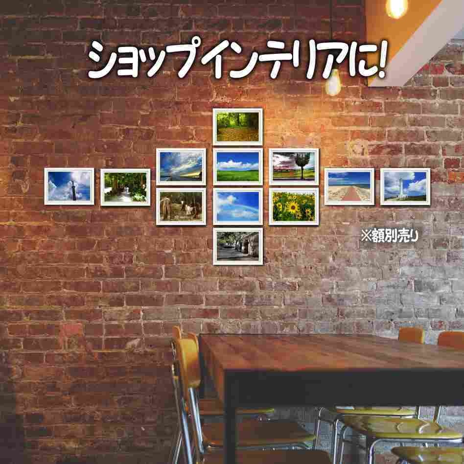 超高画質☆沖縄の「海と空と自然」☆写真☆インテリア☆2Lポスター☆癒し☆おしゃれ