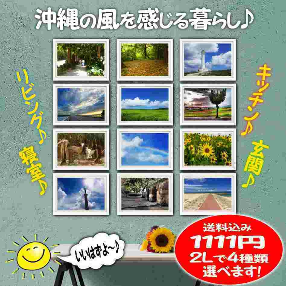 超高画質☆沖縄の「海と空と自然」☆写真☆インテリア☆2Lポスター☆癒し☆おしゃれ