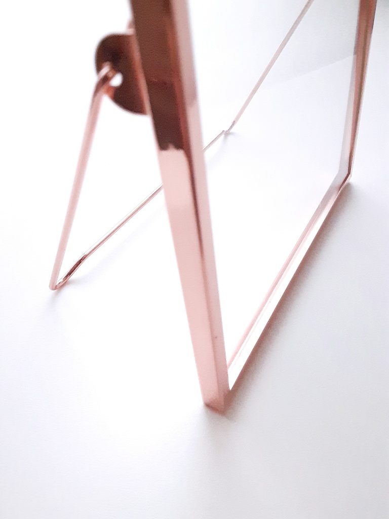 【額付き】イラスト原画 つのちゃんと金木犀