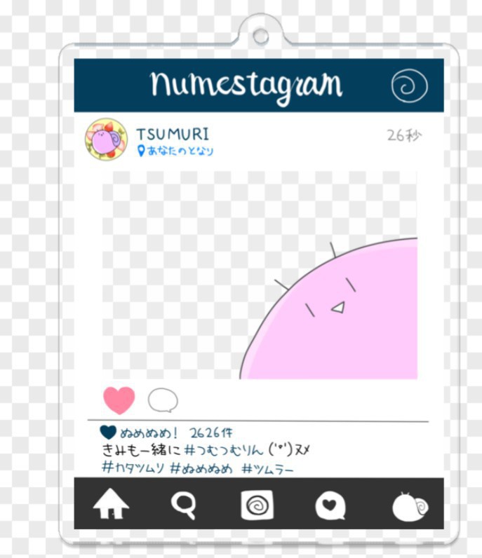 ヌメスタグラムアクキー