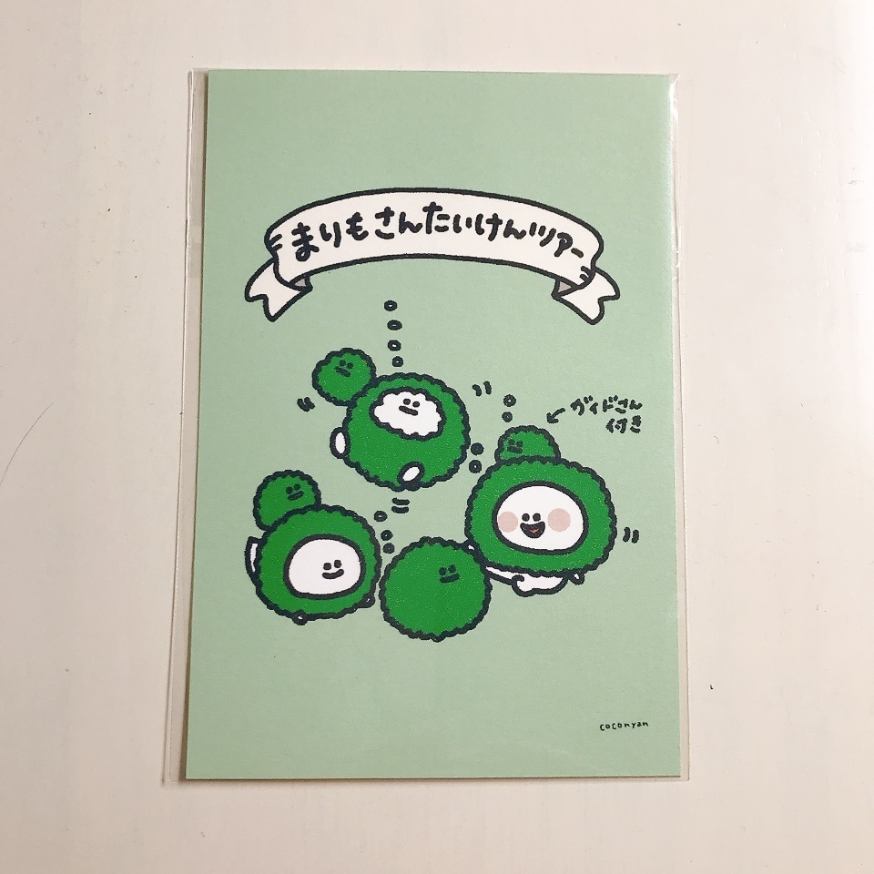 【ポストカード】まりもさん体験ツアー