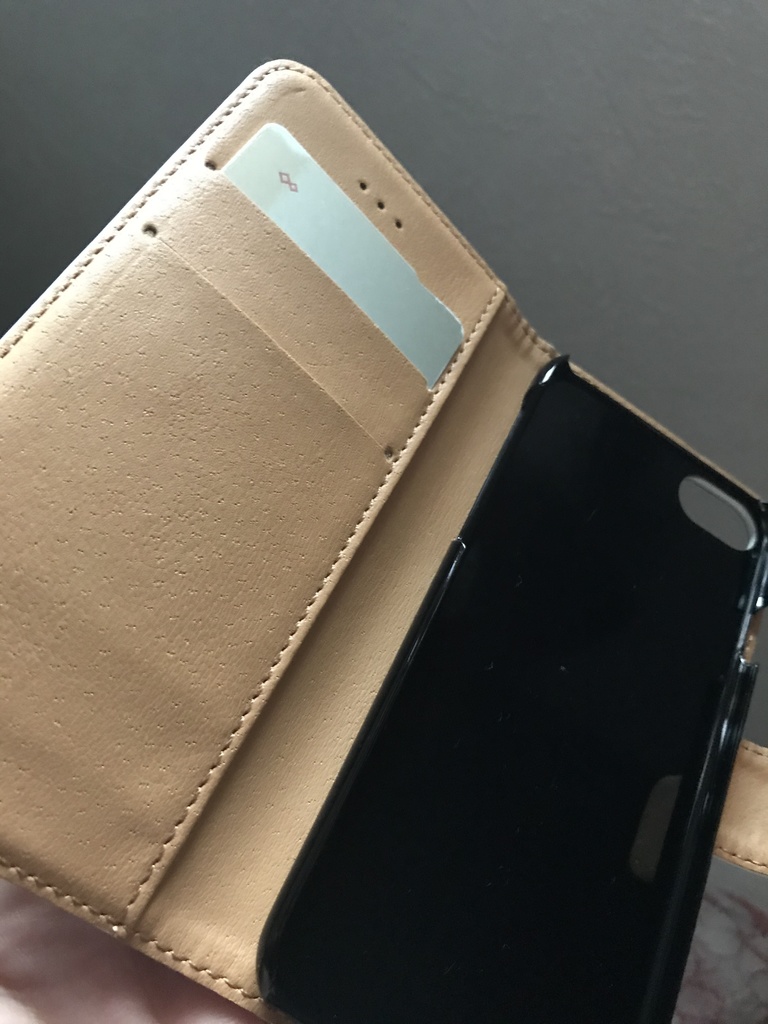 タコとウツボと時々昆布~クラゲを添えて~