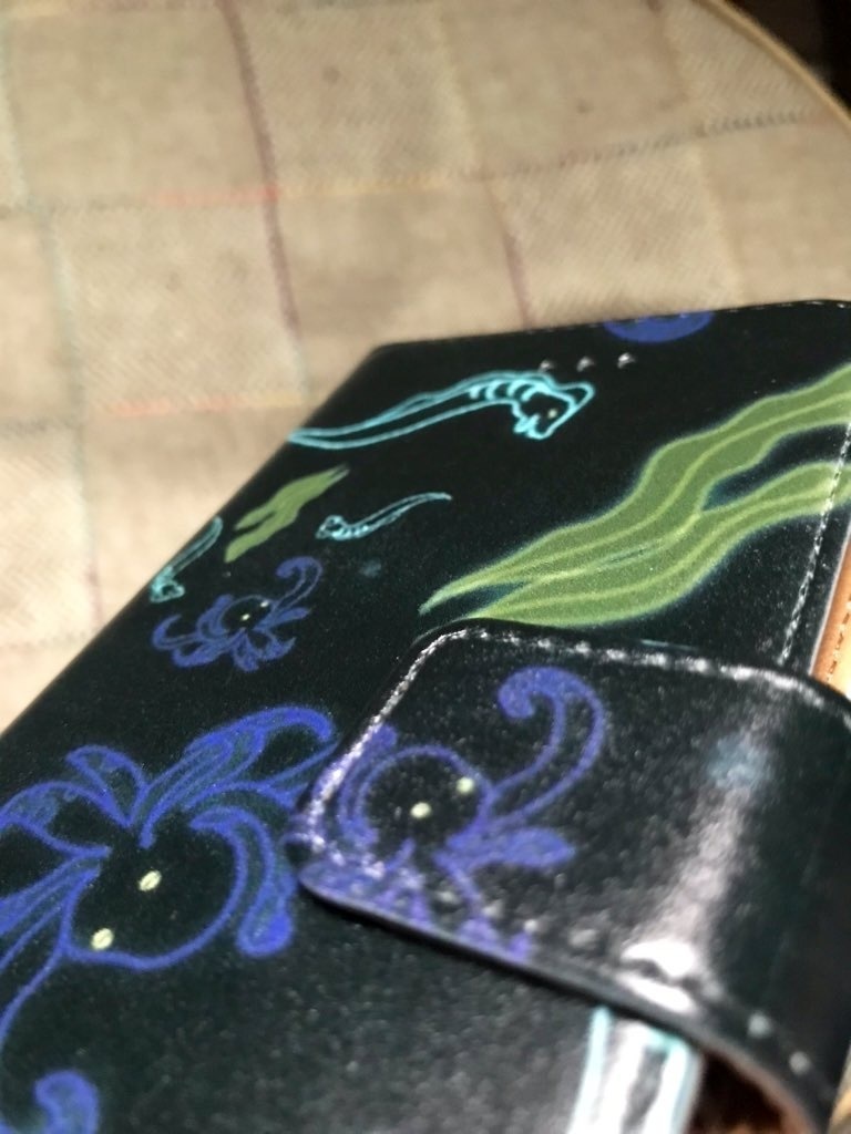 タコとウツボと時々昆布~クラゲを添えて~