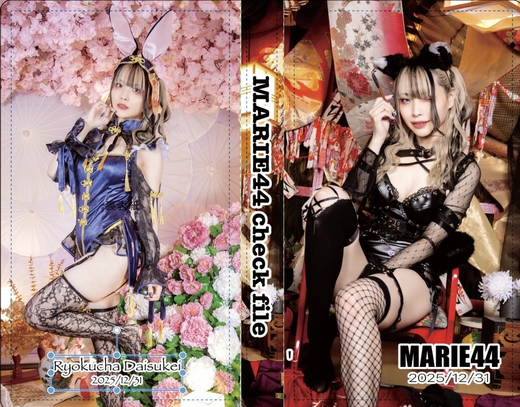 チェキファイルc107