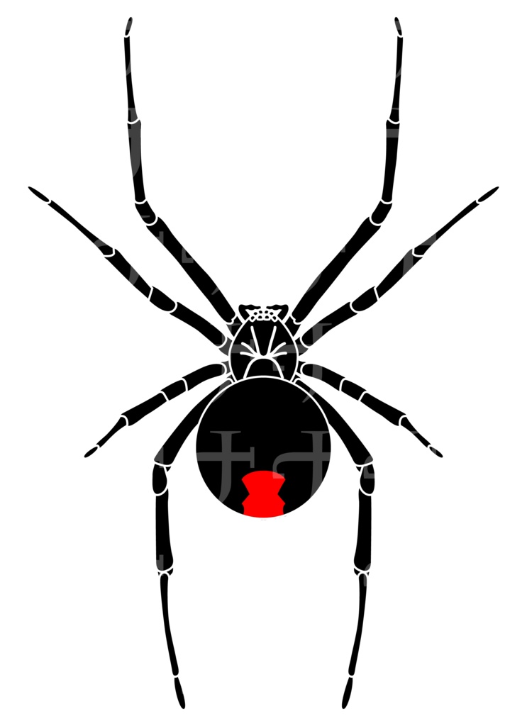 Black Widow Spider transparent Vector tattoo VRchat avatar VROID
