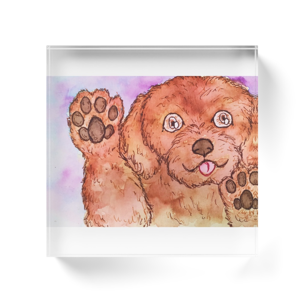 にらめっこ犬編