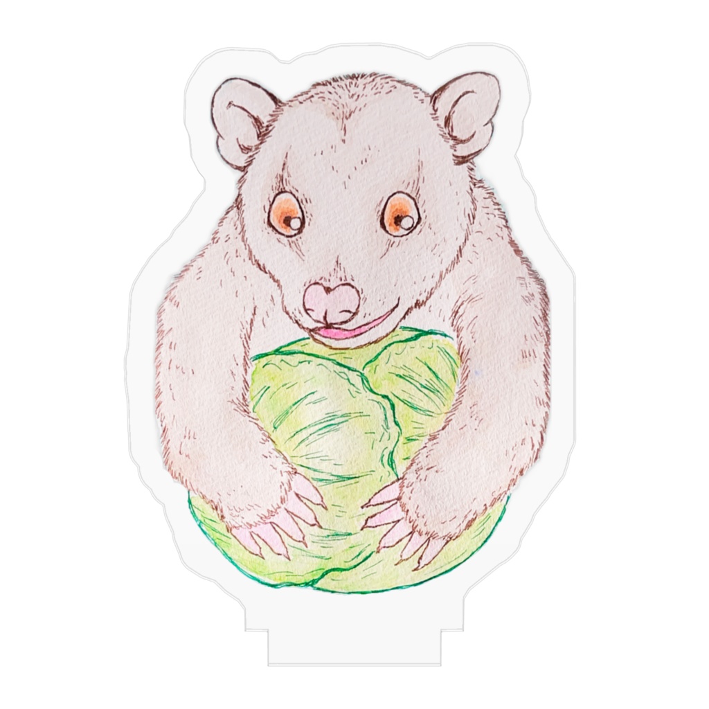 キャベツおいしいオポッサム