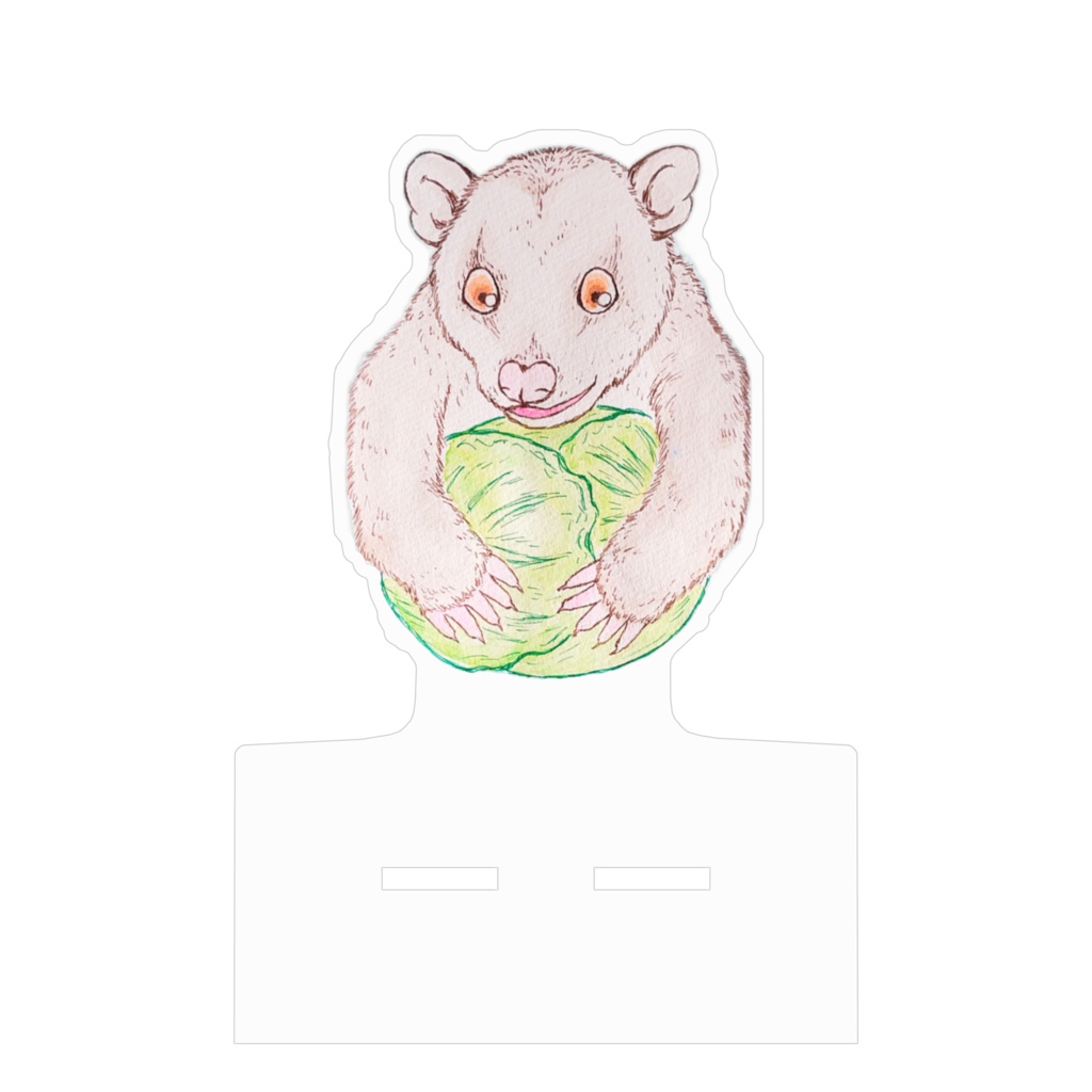 キャベツおいしいオポッサム