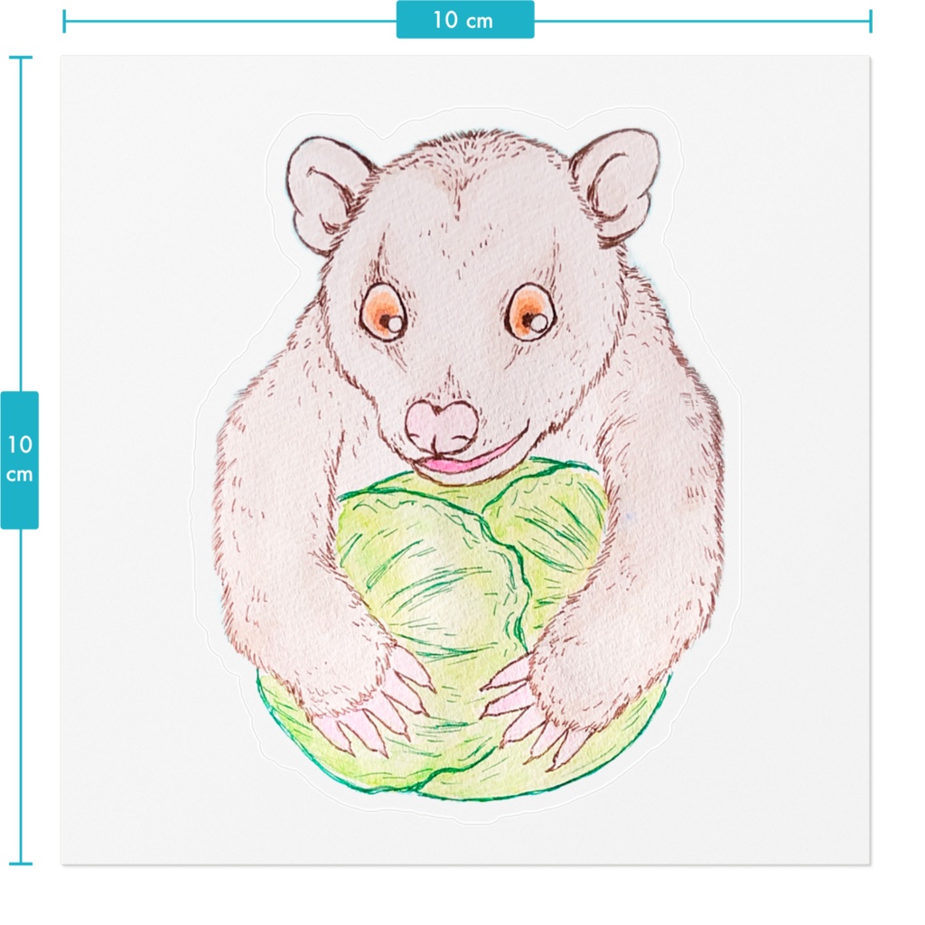 キャベツおいしいオポッサム