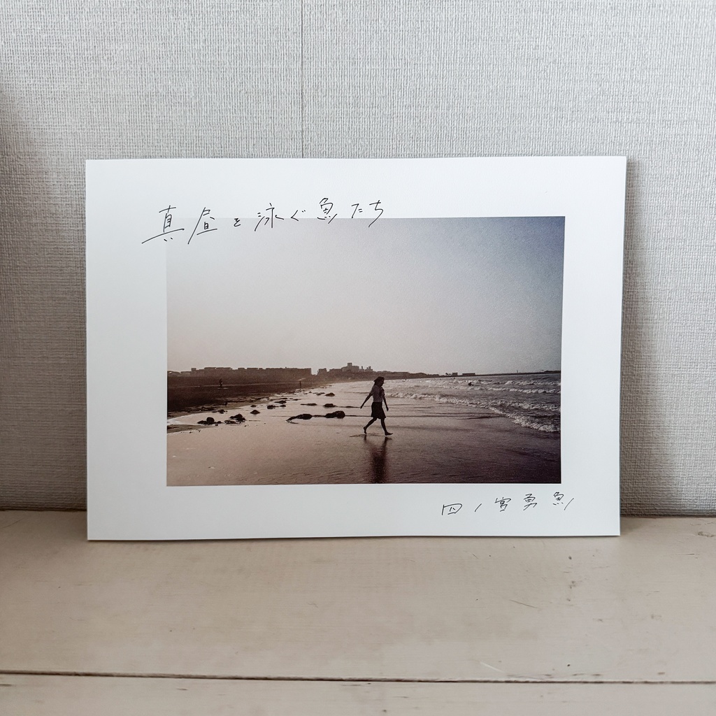 写真集 真昼を泳ぐ魚たち