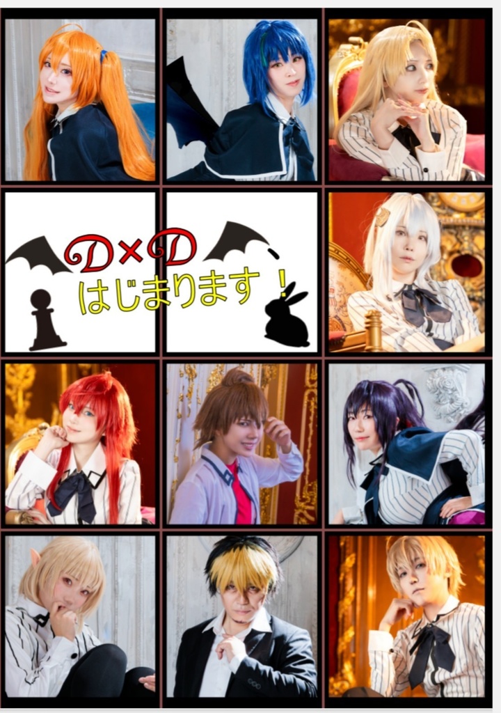 【C107新刊】D×D、始まります！【紙版】