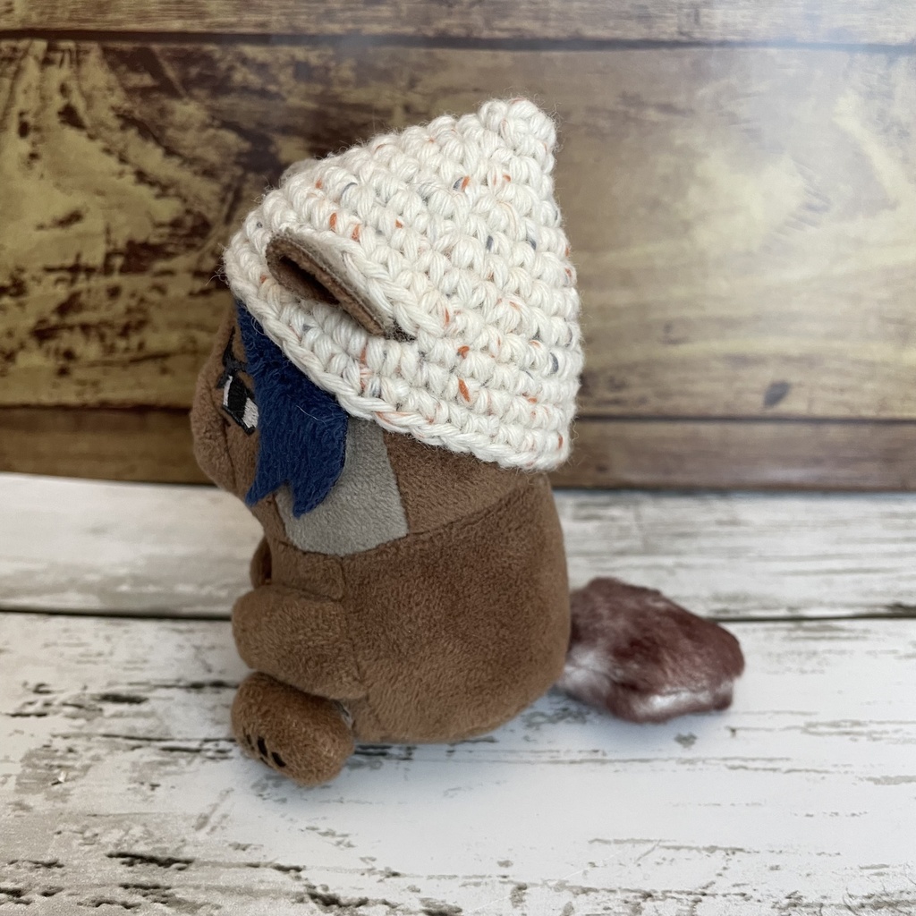 ふぉぜ之進用 どんぐり帽子