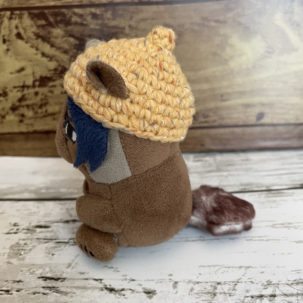 ふぉぜ之進用 どんぐり帽子