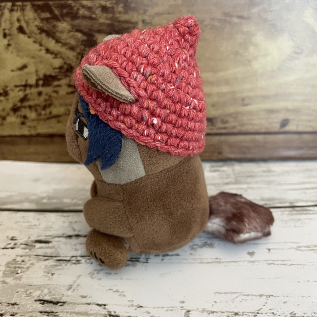 ふぉぜ之進用 どんぐり帽子