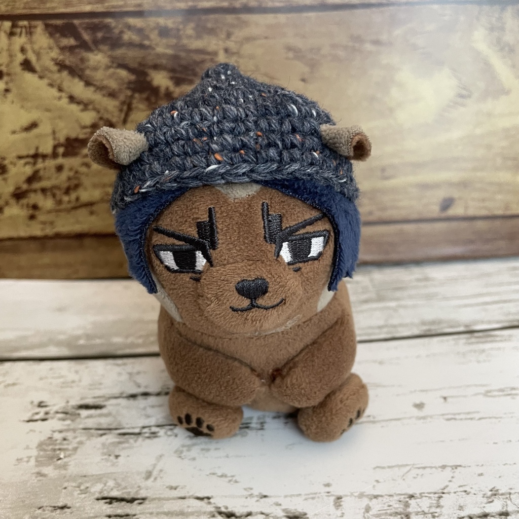 ふぉぜ之進用 どんぐり帽子