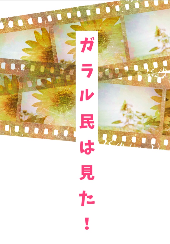 ガラル民は見た！
