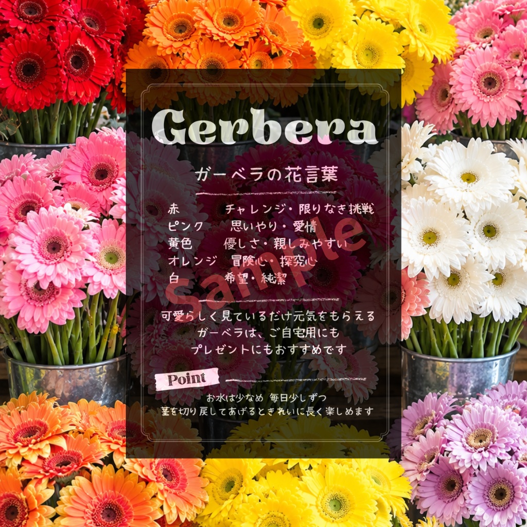 FLOWER POP ①