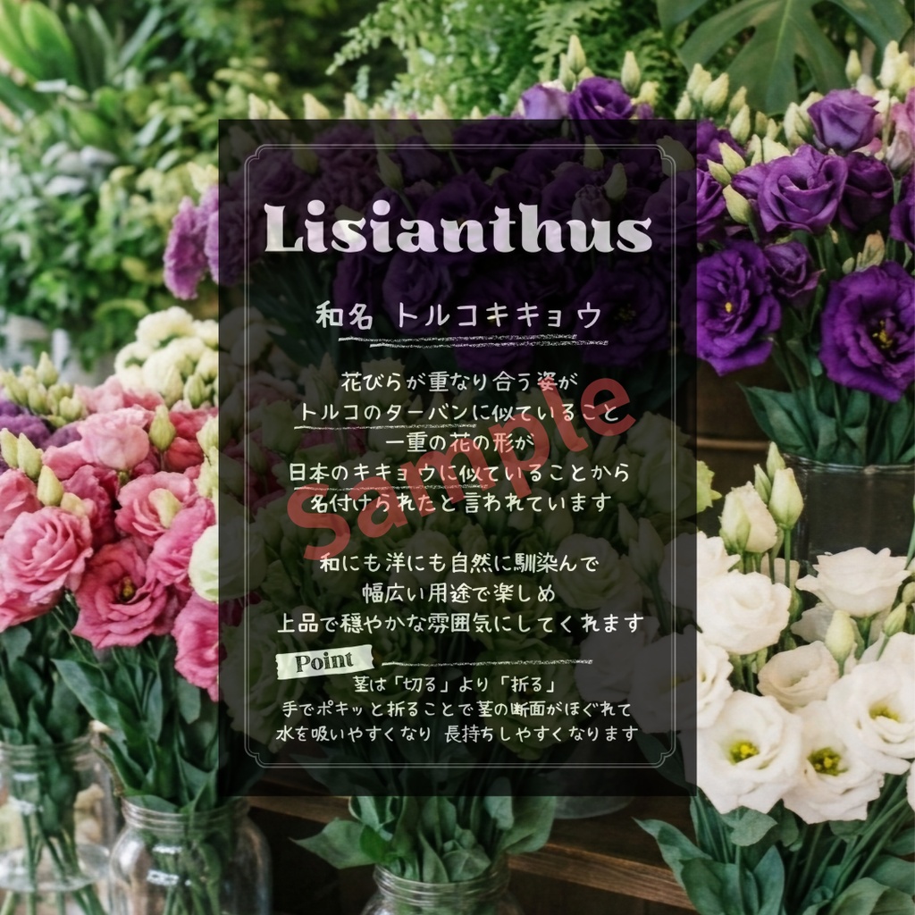 FLOWER POP ①