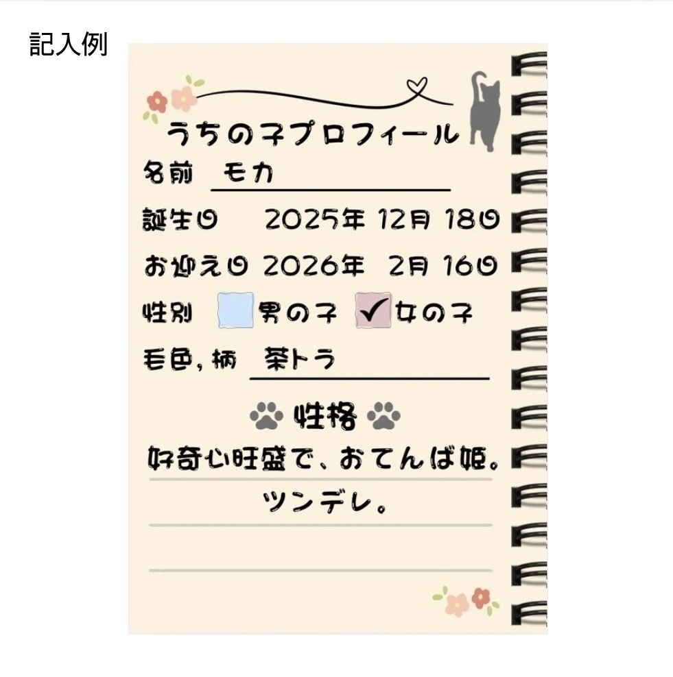 【猫の成長記録ノート】うちの子メモリーBOOK|プロフィール・通院記録・思い出アルバム付き PDF・全14ページ