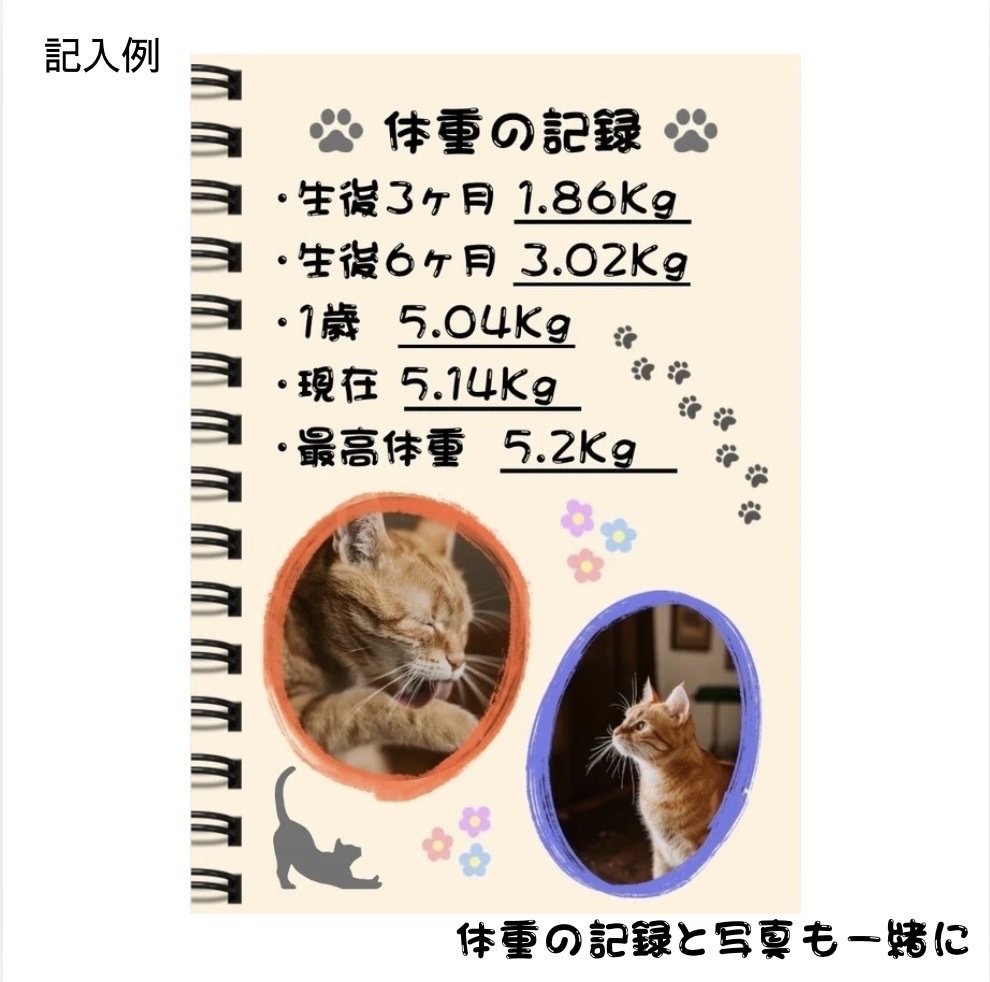 【猫の成長記録ノート】うちの子メモリーBOOK|プロフィール・通院記録・思い出アルバム付き PDF・全14ページ
