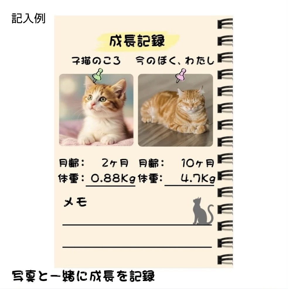 【猫の成長記録ノート】うちの子メモリーBOOK|プロフィール・通院記録・思い出アルバム付き PDF・全14ページ