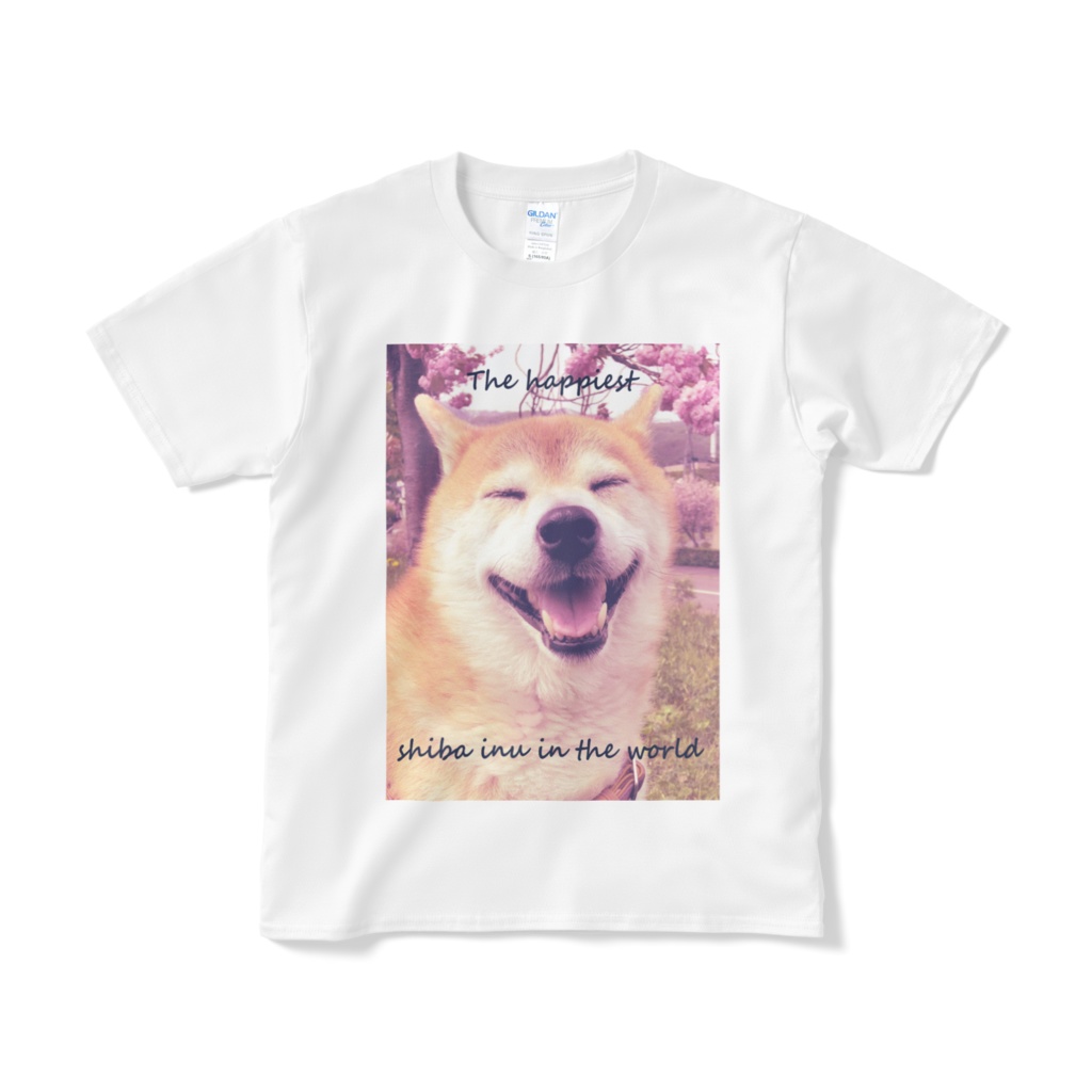 柴犬　ホワイトTシャツ