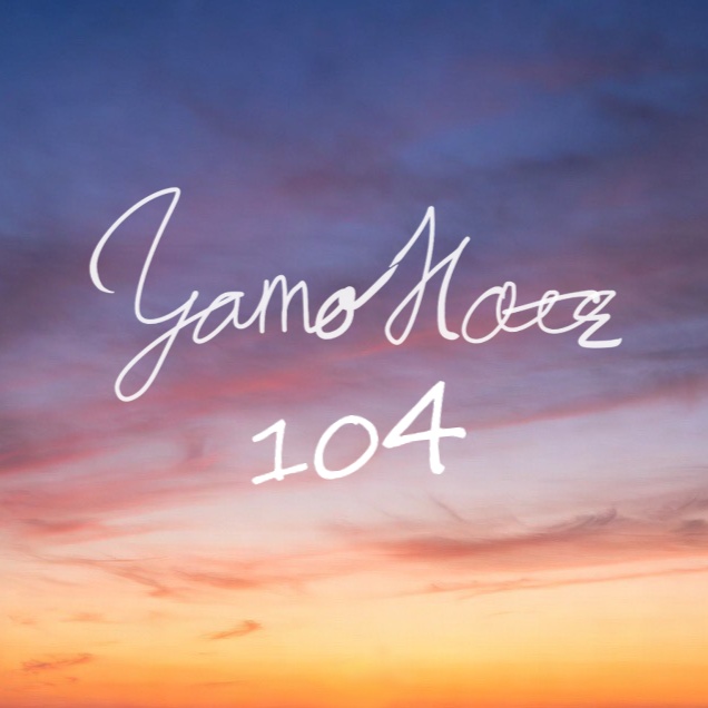 フリートラック【YN104】