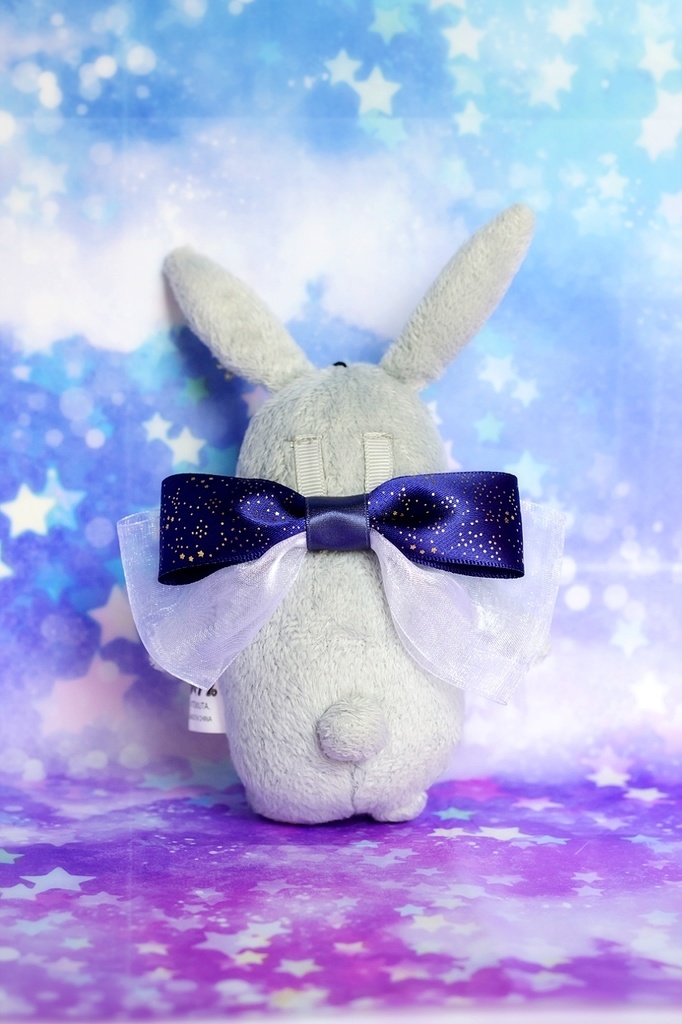 キラキラ夜空のチョーカー(後ろリボン)