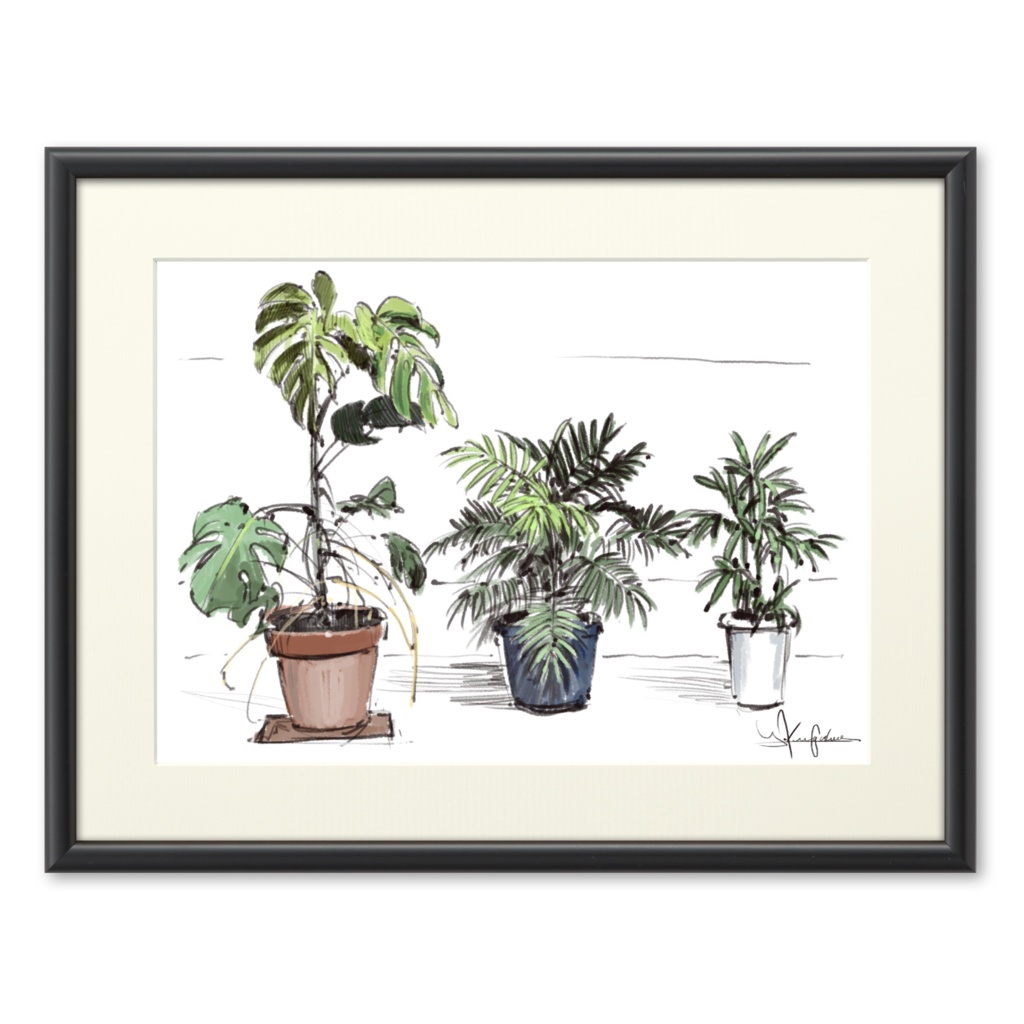 植物の習作