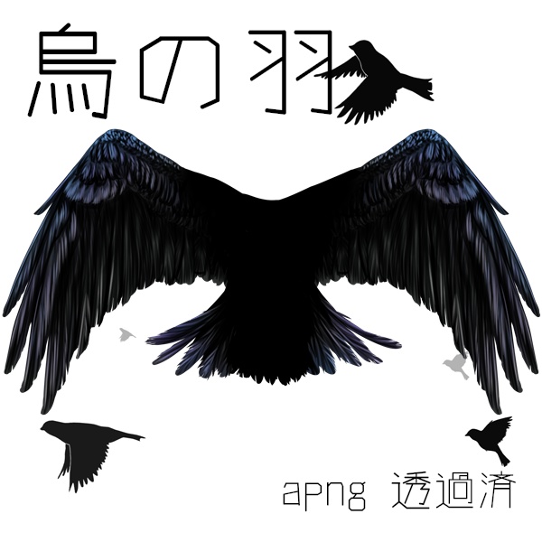 烏の羽素材
