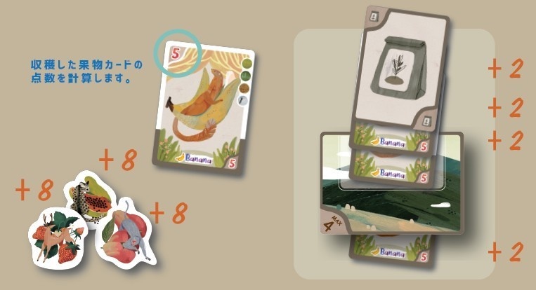 四季の森 (Harvest Island)ボードゲーム