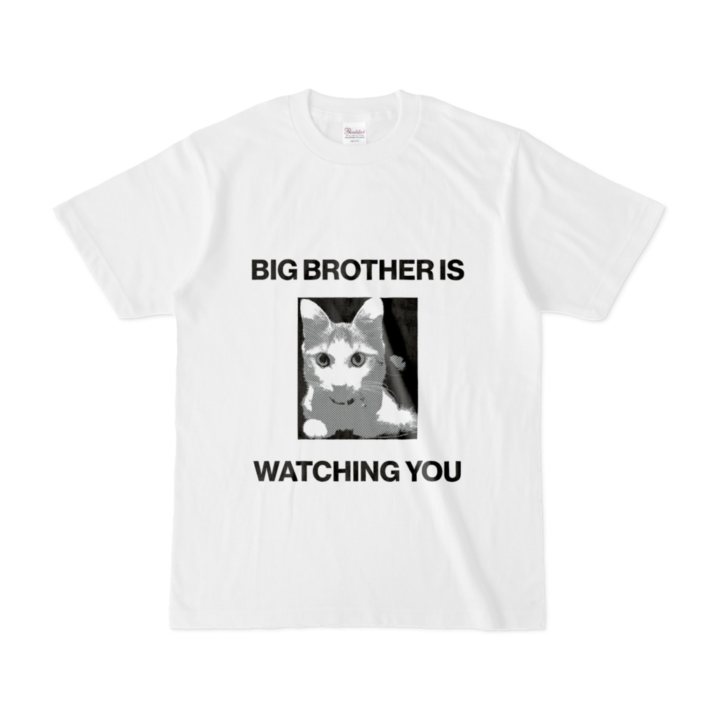BIG BROTHER IS WATCHING YOU