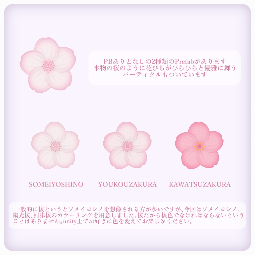 - Cherry Blossom Reverie Embroidery -