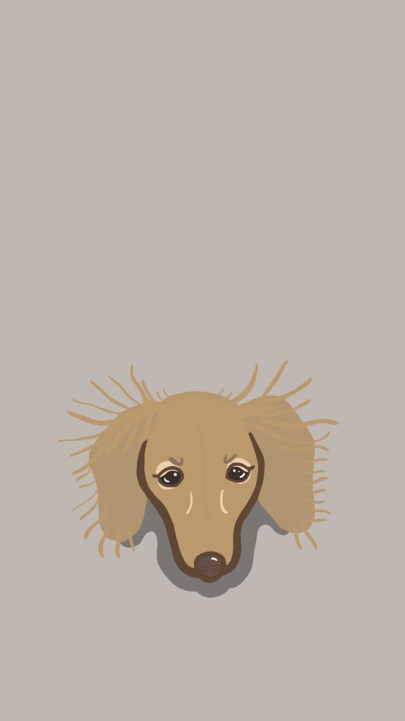スマホ壁紙イラスト　Dachshund