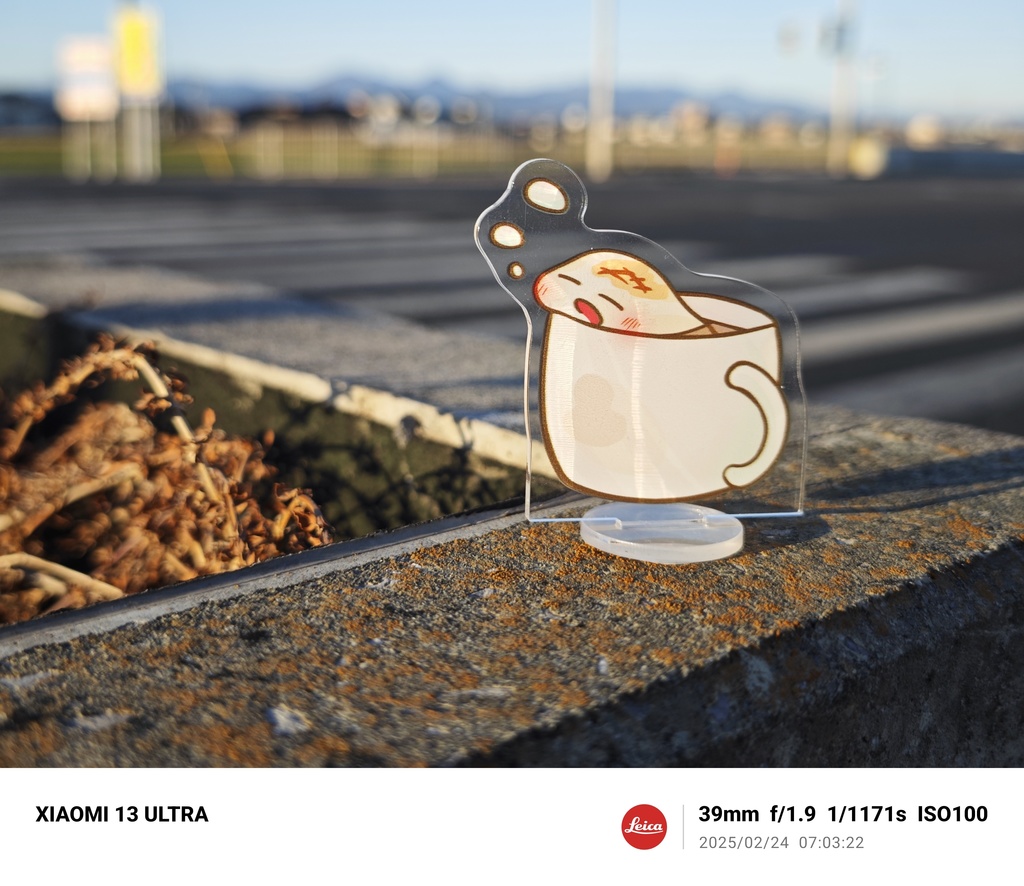 もちアクスタ 両面印刷(* 'ᵕ' )イイヨッ!