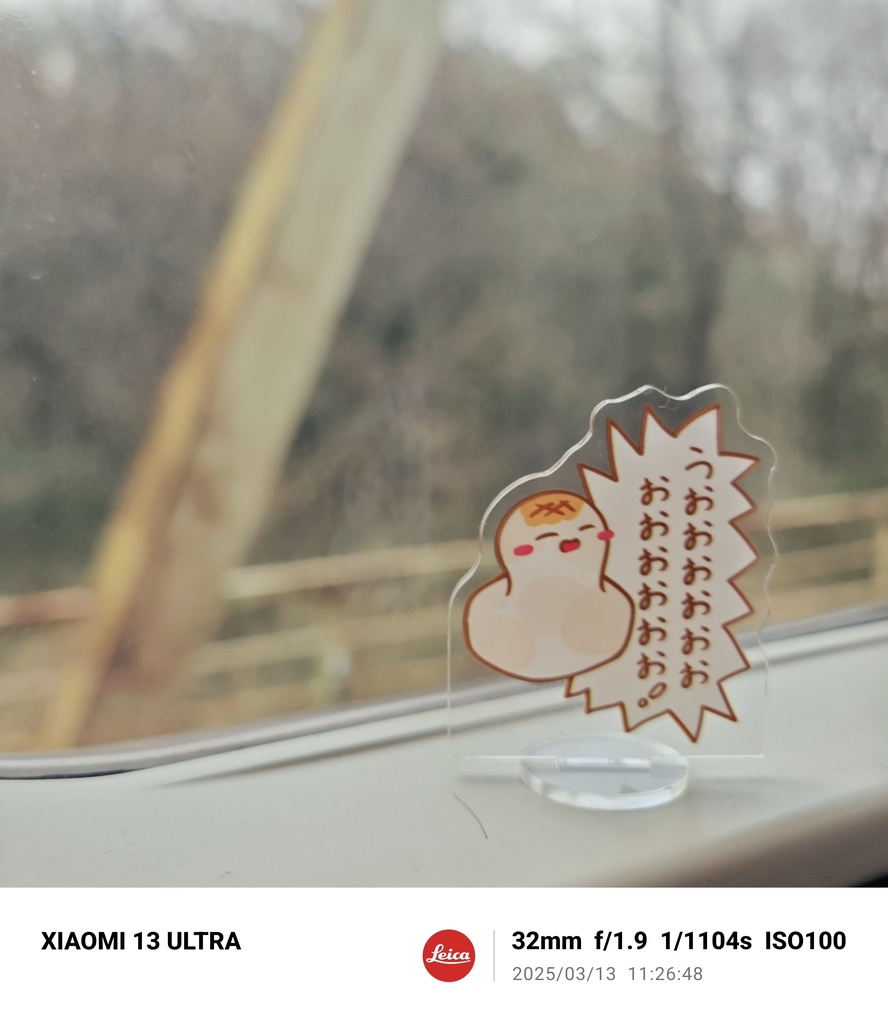 もちアクスタ 両面印刷(* 'ᵕ' )イイヨッ!