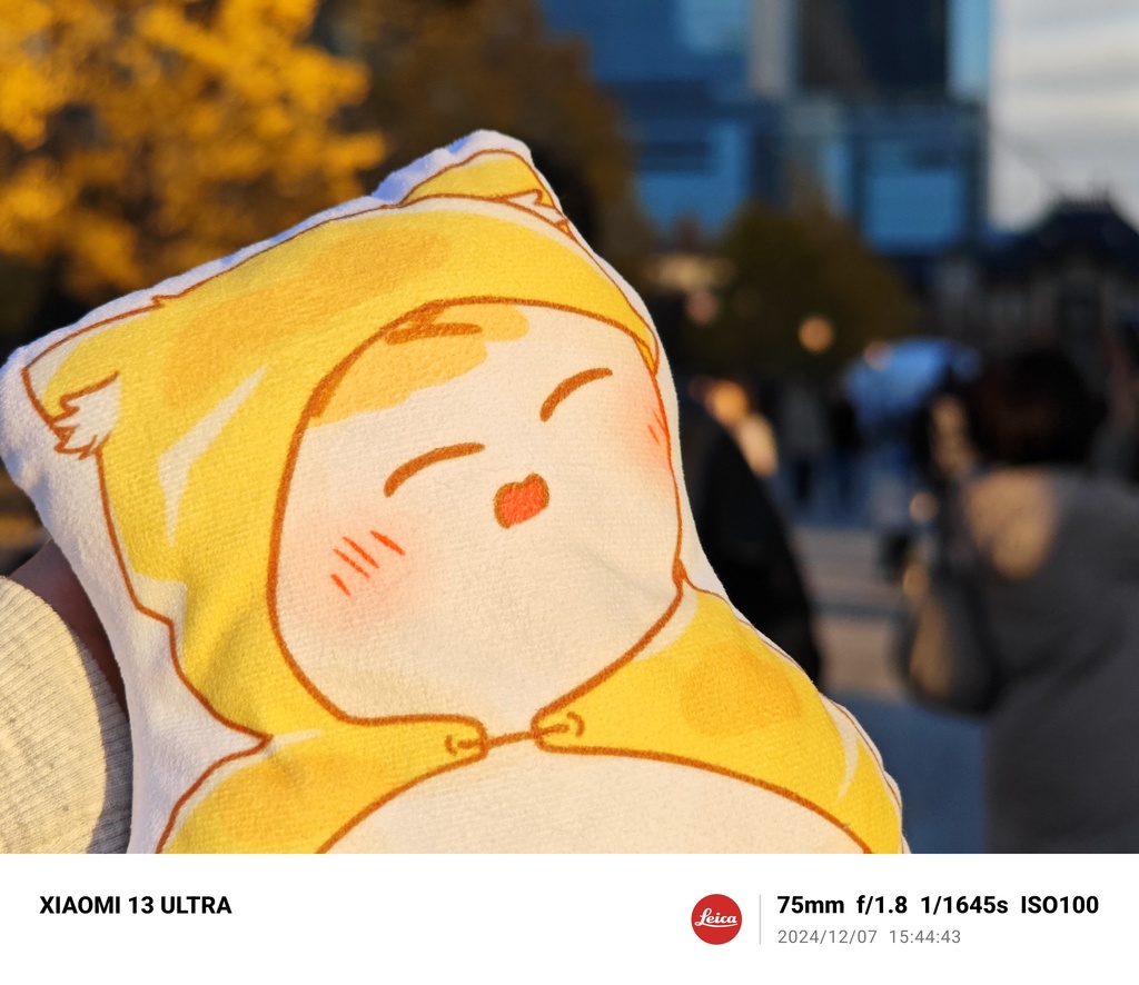 もちクッション2種(かわいい)(* 'ᵕ' )イイヨッ!