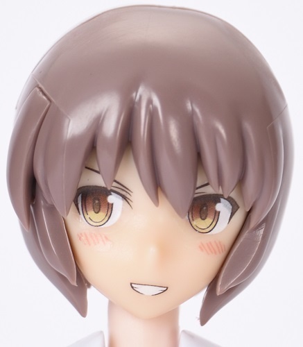 ソルジャーシリーズ用アイデカール S2（茶）