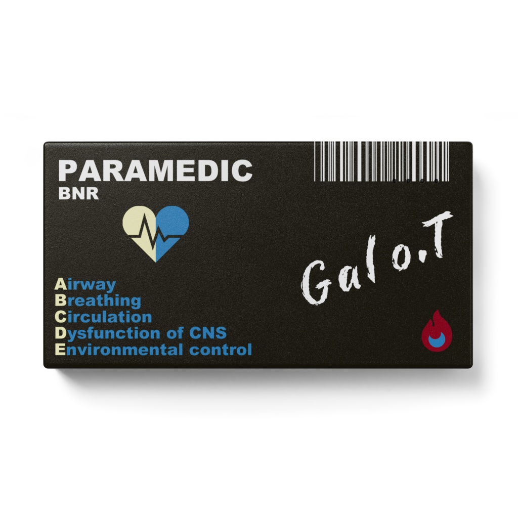 支給品バッテリーGalo