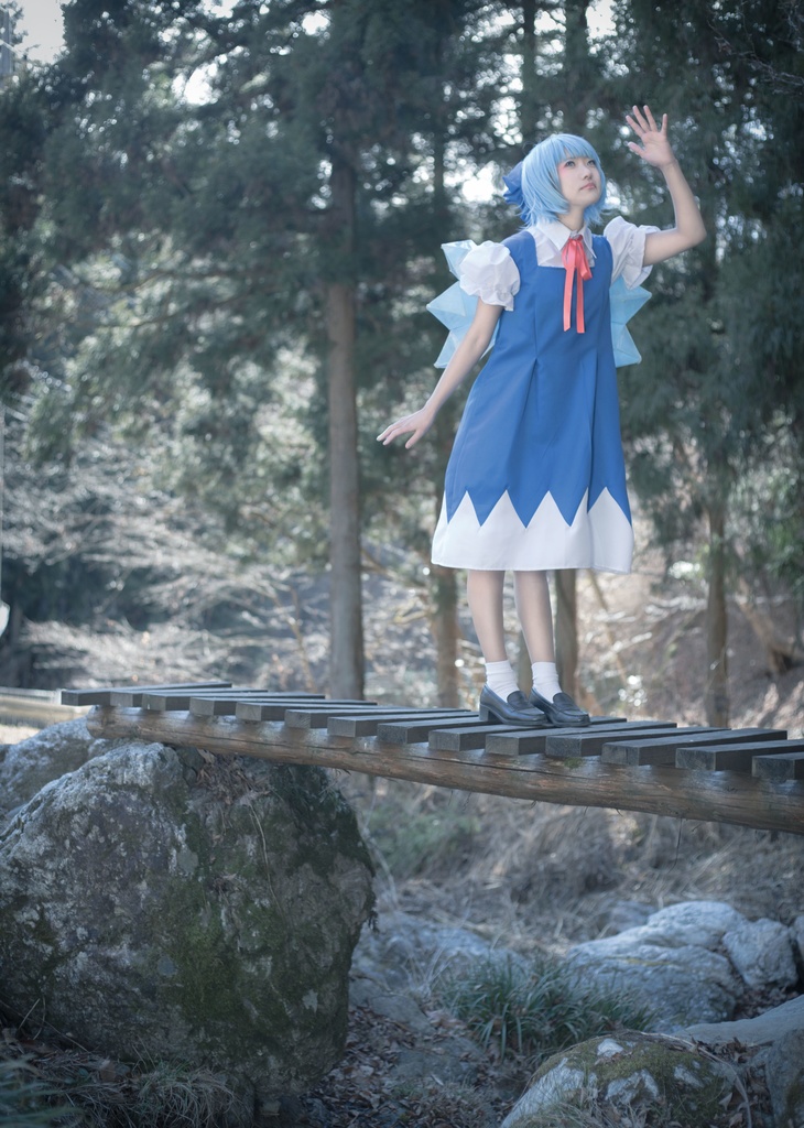 【写真集】幻想刻秘録 -東方紅魔郷 チルノ-