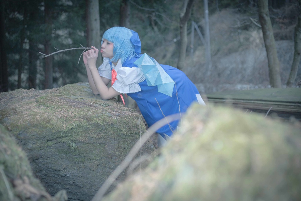 【ROM】【ダウンロード版】幻想刻秘録 -東方紅魔郷 チルノ-