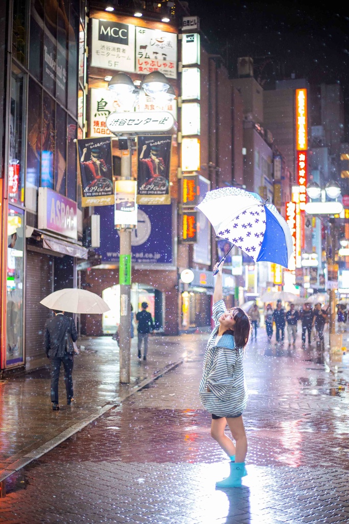 【ROM】【ダウンロード版】四季写報 六月~八月