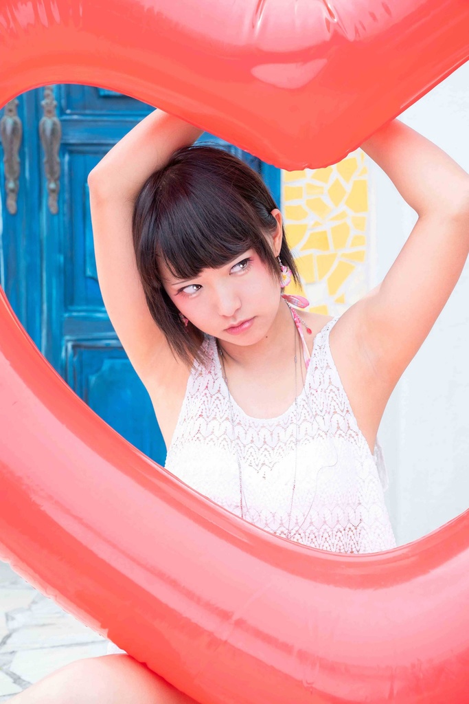 【ROM】【ダウンロード版】四季写報 六月~八月