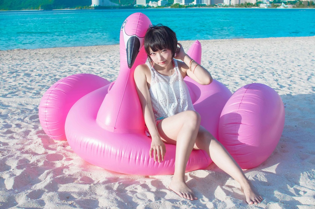 【ROM】【ダウンロード版】四季写報 六月~八月